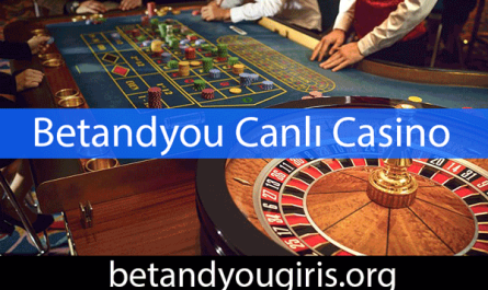 Betandyou canlı casino oyunlarıyla sektöre yön veren platformdur.