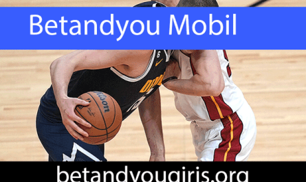 Betandyou mobil uyumluluğu ve hızı ile dikkat çekmektedir.